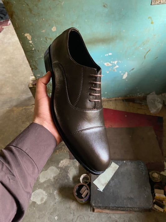 Chocolate Brown Oxford