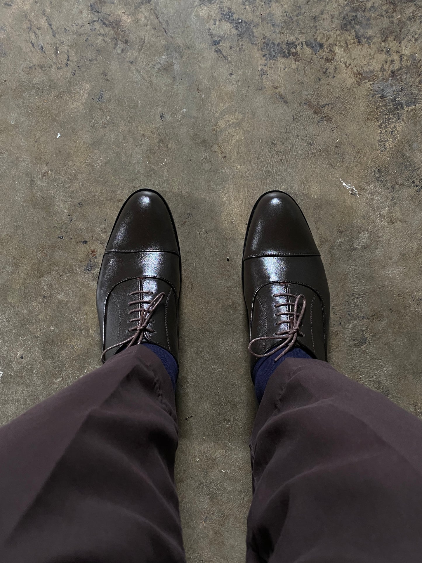 Chocolate Brown Oxford